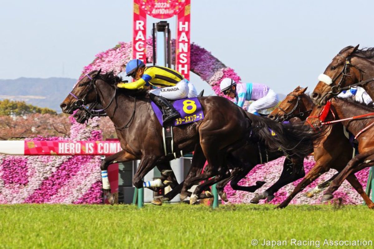 JRA サイレンススズカ THE GREATEST HORSES BEST100 JRA サイレンススズカ THE GREATEST HORSES BEST100 - メルカリ