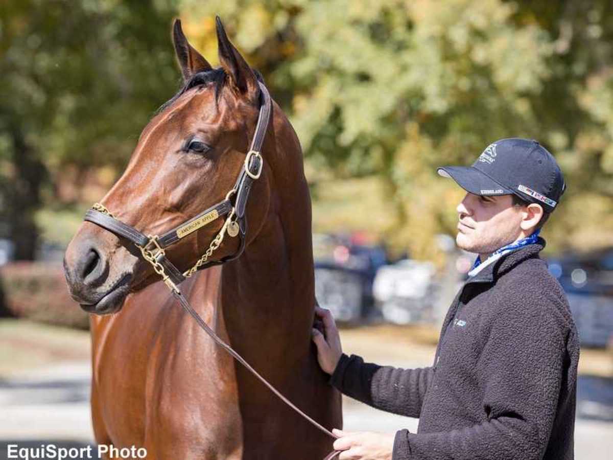 Breeders’ Cup Presents Connections: ‘Unbelievable’ 47-1 Upset Brings ...