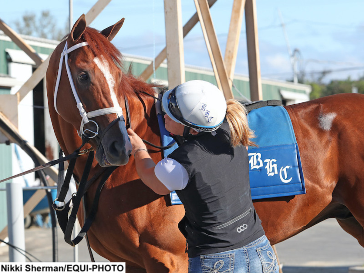 Weekend Lineup Cotillion, Pennsylvania Derby Lead Graded Stakes