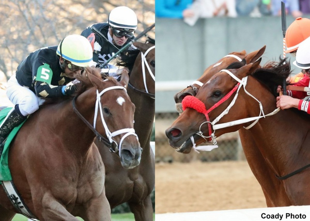 Champions Clash In Oaklawn's Apple Blossom Paulick Report Shining
