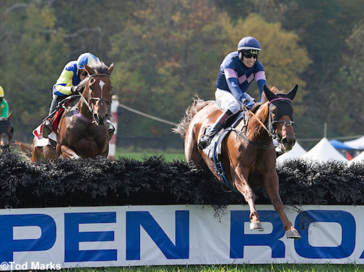 Champion Steeplechaser The Mean Queen Returns In Thursday's Entenmann