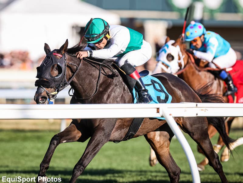 Sparkle Blue Leads 12 Turf Marathoners In Churchill's Keertana ...