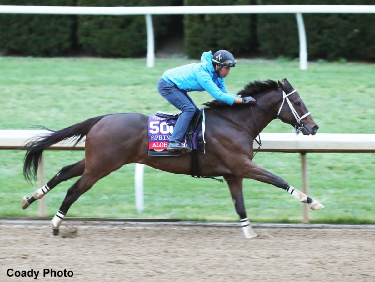 Breeders Cup Monday Notes Asmussen Excited About Champ