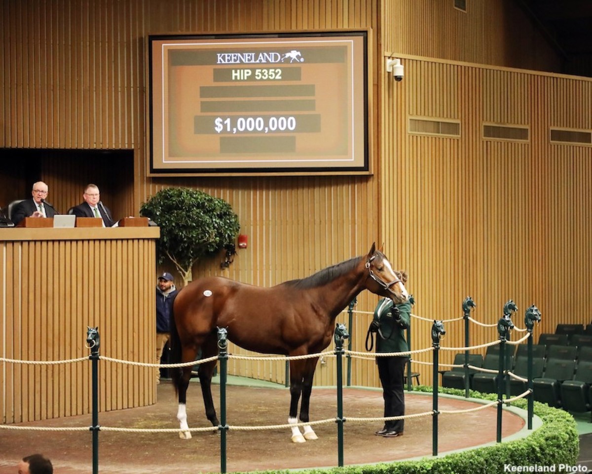 Keeneland Catalogs 277 Horses For November Horses Of Racing Age Sale