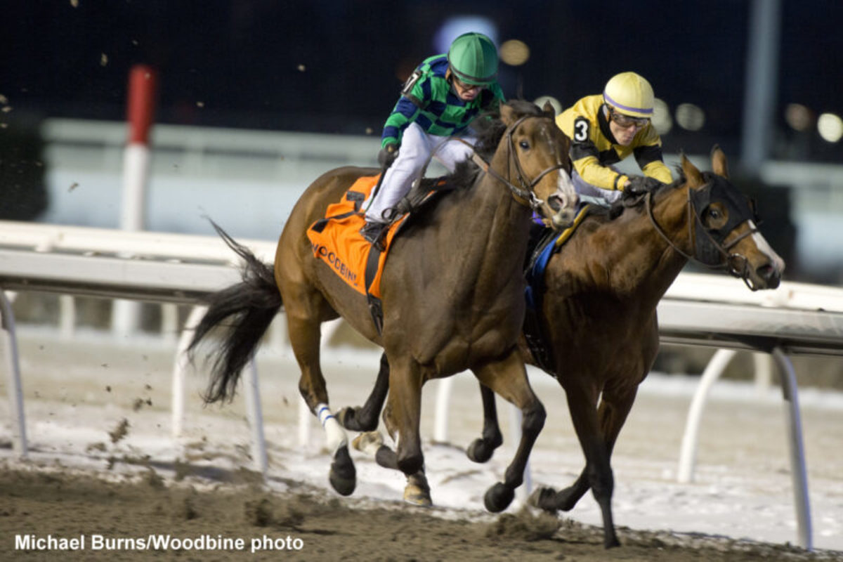 Avoman Prevails In HardFought Battle In Steady Growth On Woodbine's