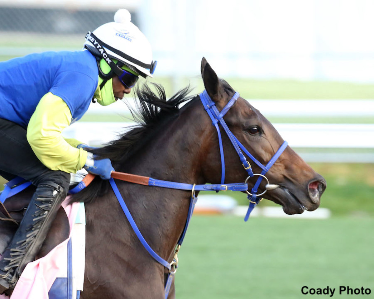 The Derby Bubble Presented By Kentucky-Breds: Focusing On The Kentucky ...