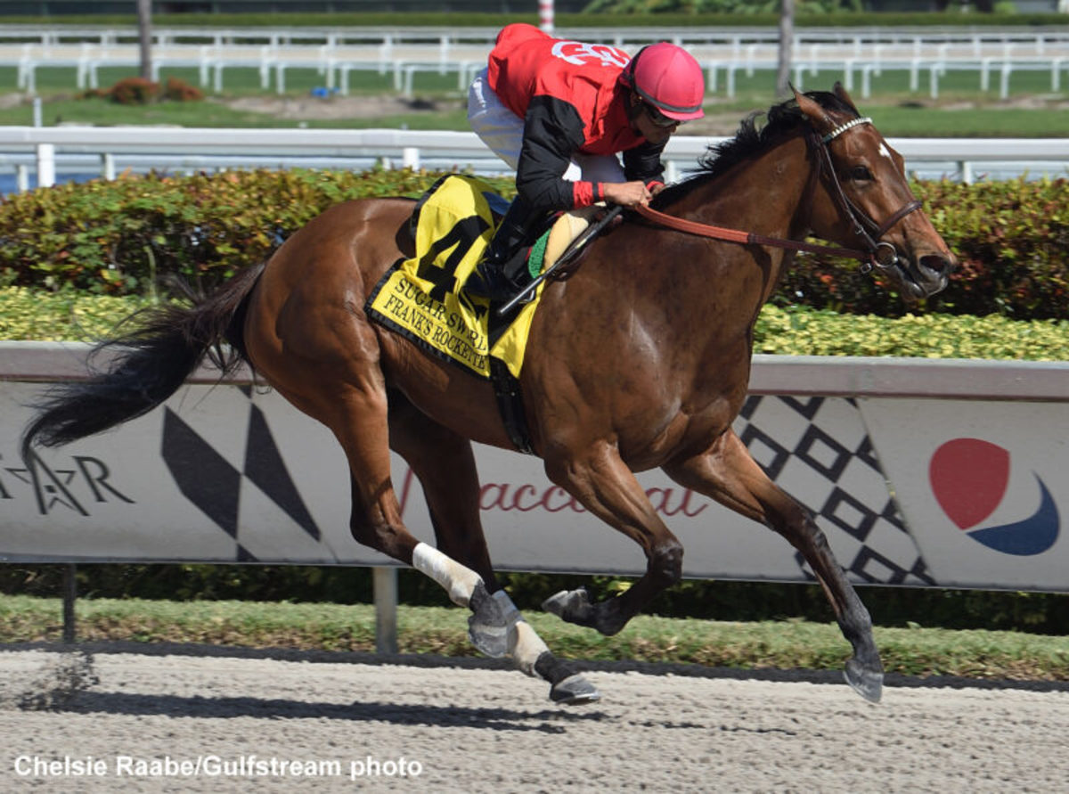 'adios': Frank’s Rockette Scores By Open Lengths In Gate-to-wire Sugar 