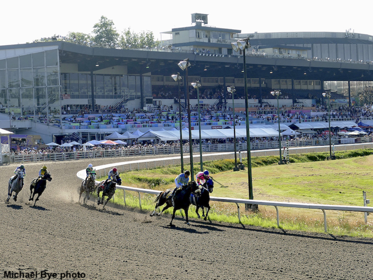 Hastings Racecourse Gears Up For April 30 Opening Of 45Day Meet