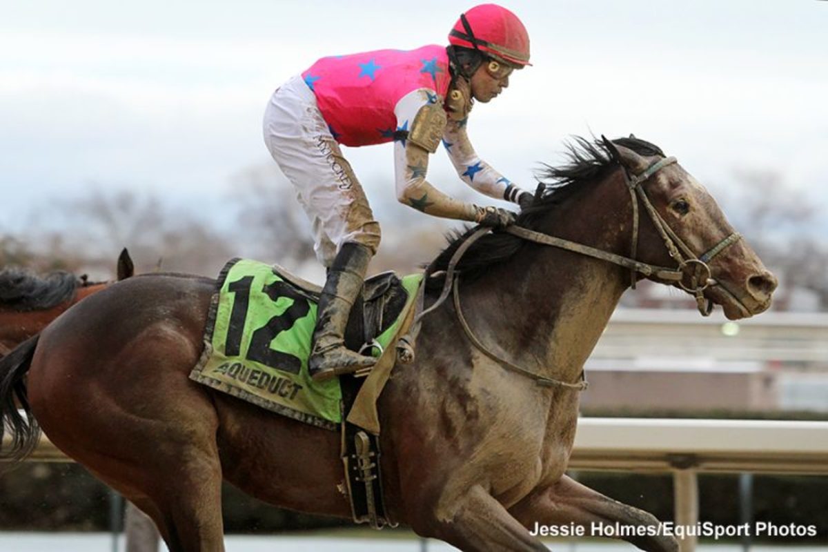 Road To Kentucky Derby Raise Cain Delivers Gotham Upset By Wide Margin