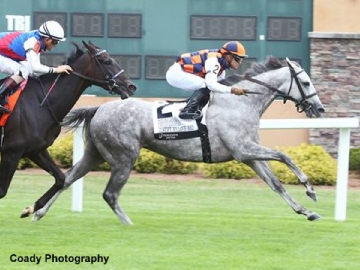 Dance Smartly Stakes Justify My Love 'Hitting Her Peak Right Now' Paulick Report Shining