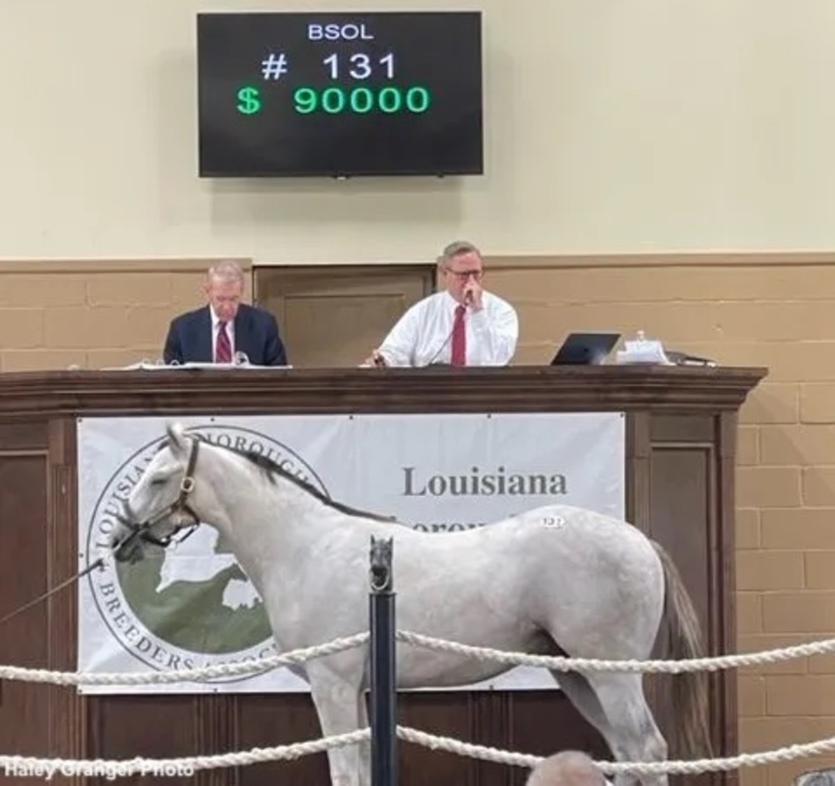 Anchor Down Colt Tops 2023 Breeders Sales Of Louisiana Yearling, Mixed