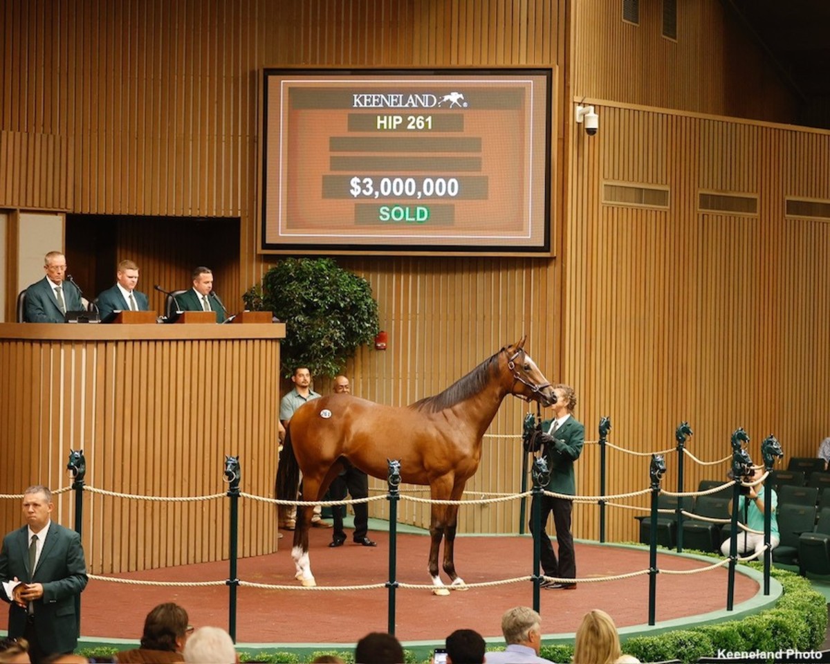 'Vibrant' Keeneland September Sale Concludes With Record Average, Third