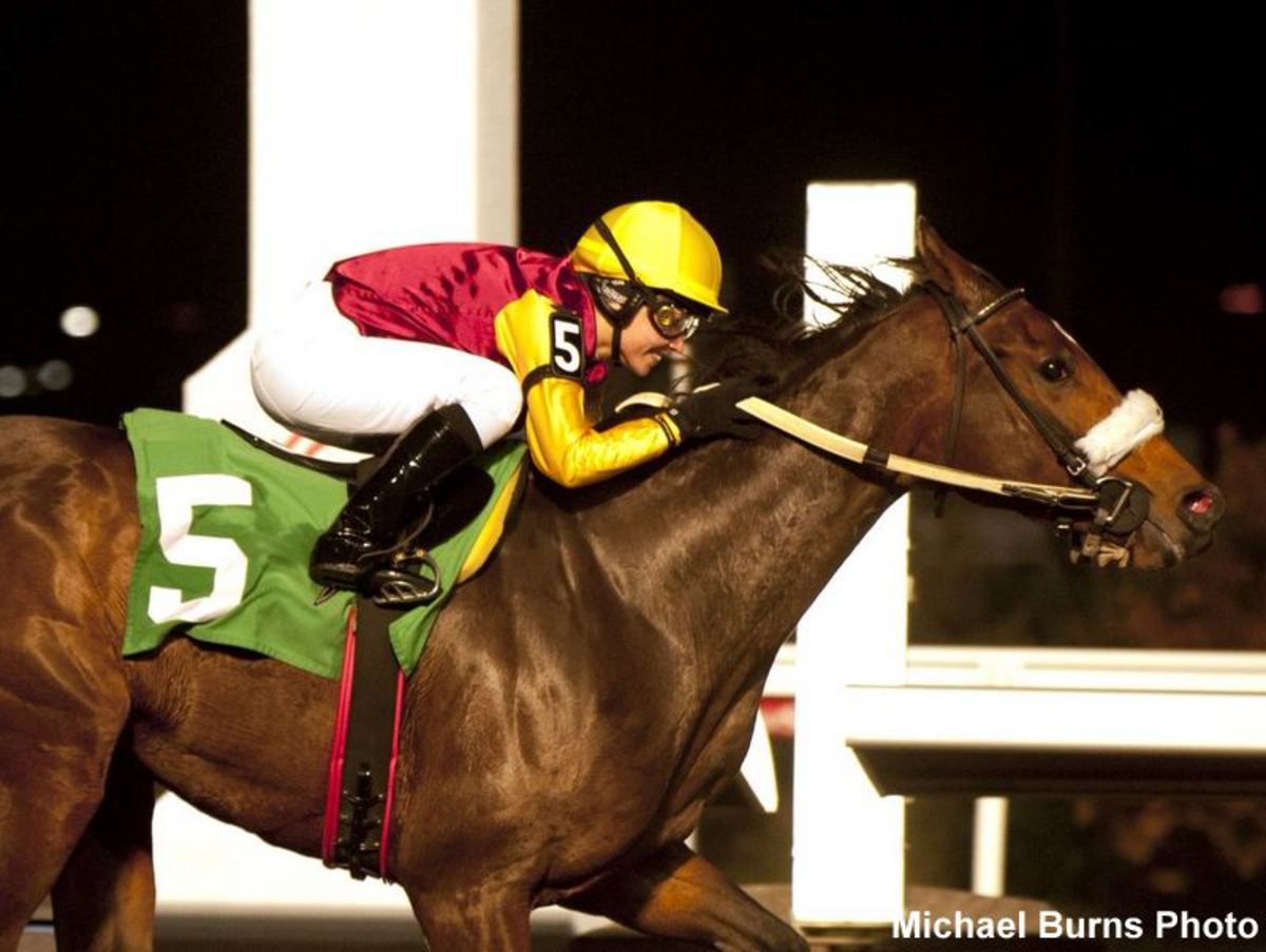 Sophia Vives and Bodacious Miss winning on the Woodbine Tapeta on November 3, 2022 (Michael Burns Photo)