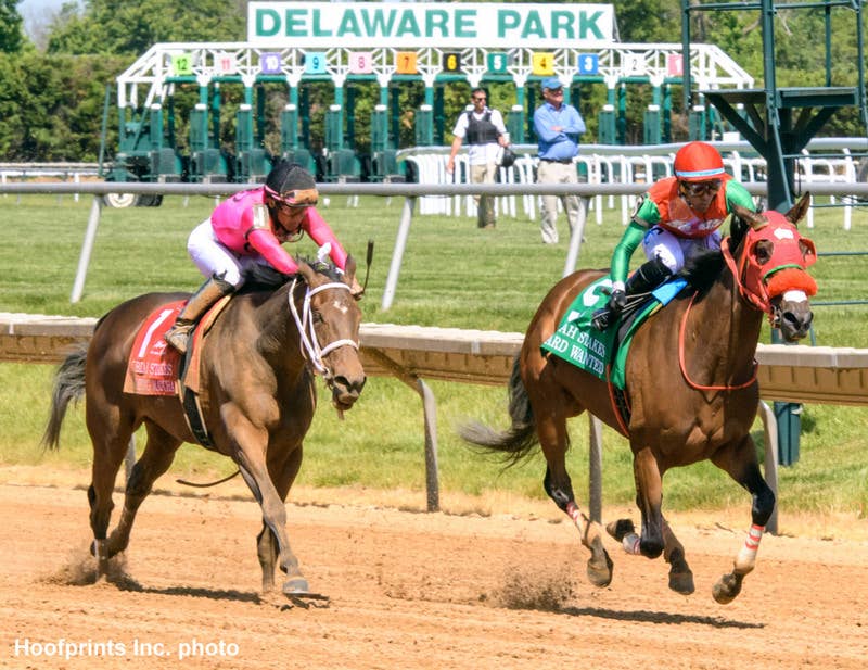 Award Wanted Upsets Morning Matcha In Gate-To-Wire Obeah Blitz ...