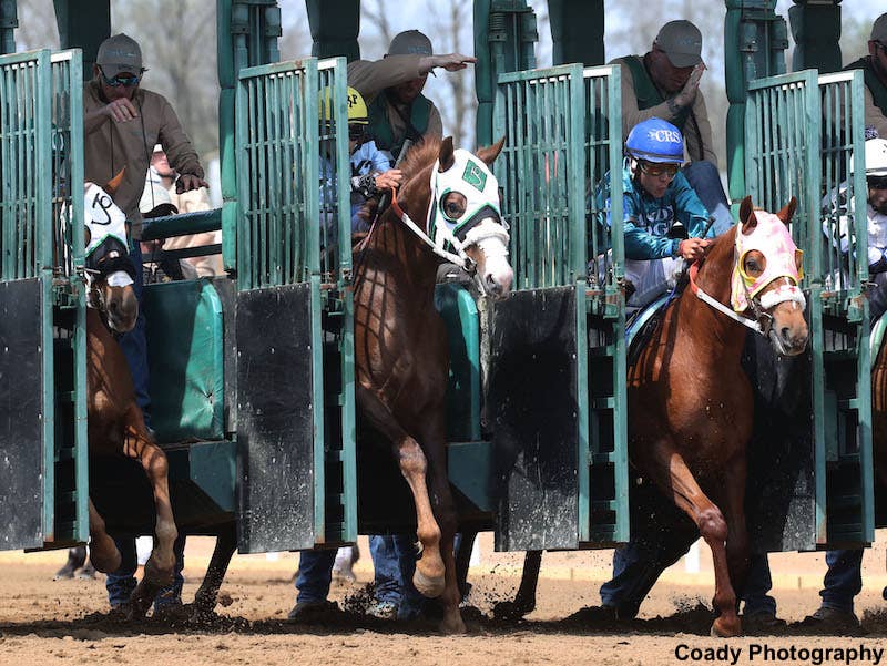 KHRC: Proposed Development Fund Changes Could Allow Quarter Horses To ...
