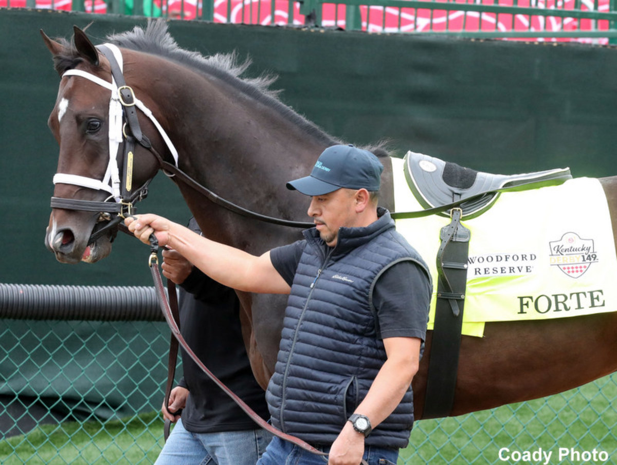 KHRC, HISA Rules On Vet Scratches Leave Forte's Preakness Status Up In ...