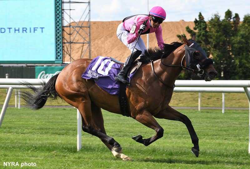 Mz Big Bucks Leads At Every Point Of Call In NYSSS Cupecoy's Joy ...