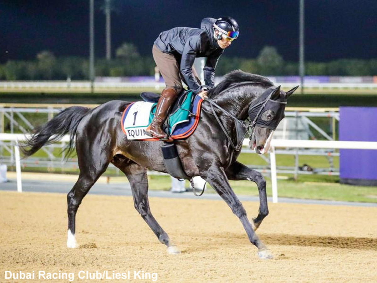 Japan's Reigning Horse Of The Year Equinox Back On Turf In Dubai
