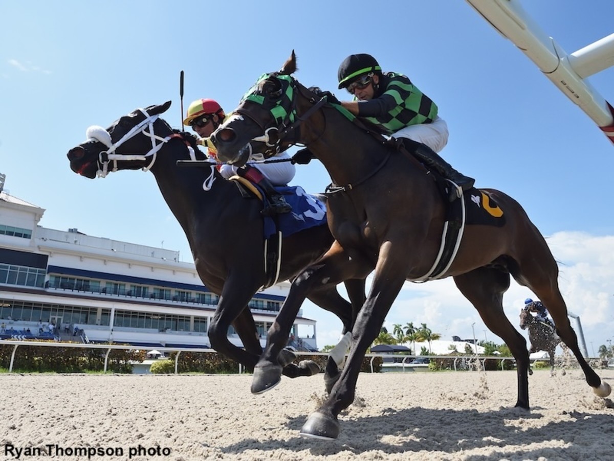Grand Mo The First To Be Pre-Entered For BC Juvenile Turf After Zuma ...