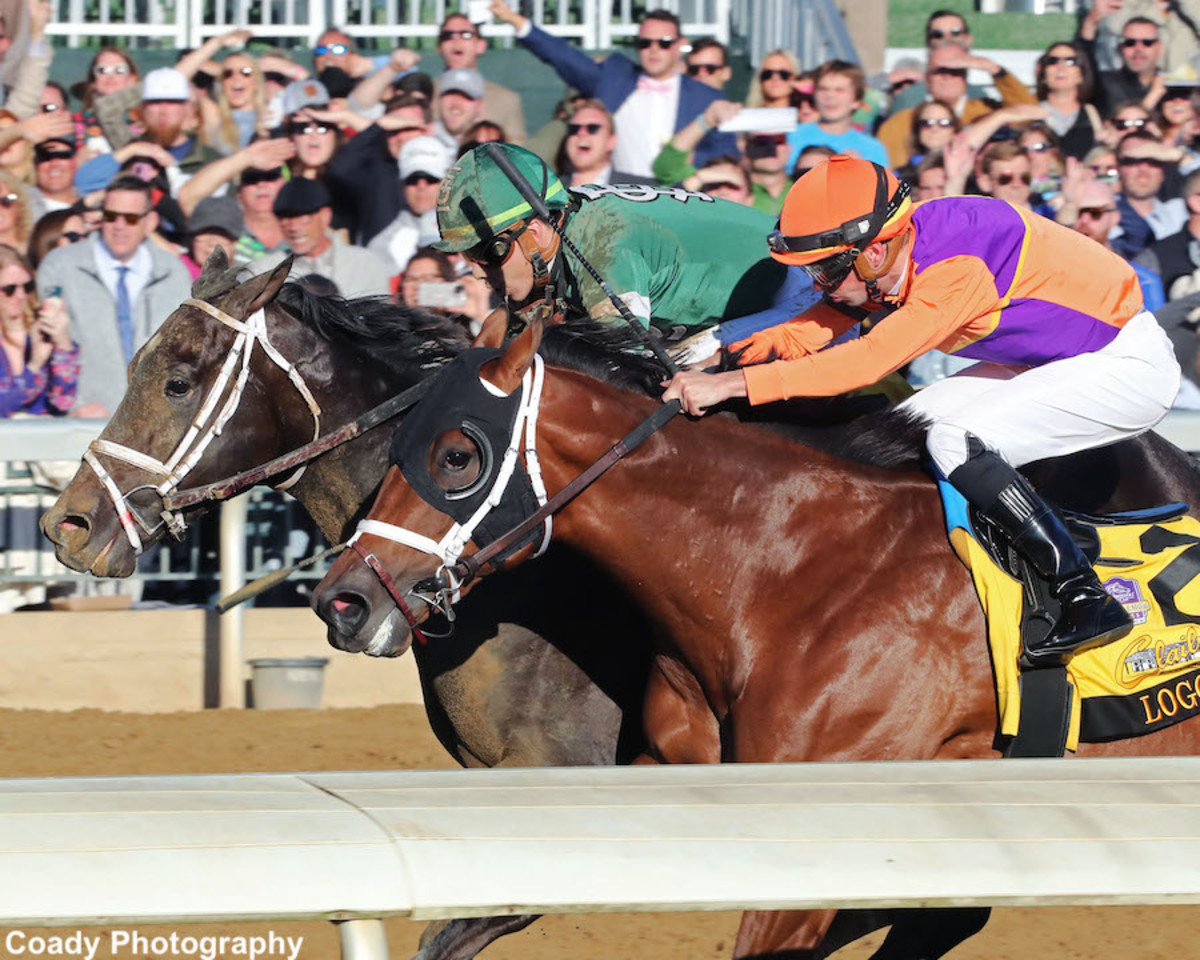 Grade 1Placed Loggins Retired, Stud Plans Pending Paulick Report