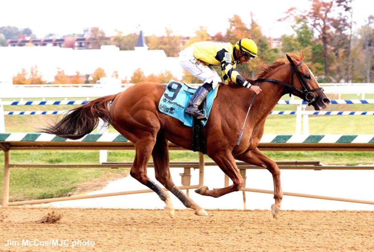 Ournationonparade Chasing History In Maryland Million Classic Paulick
