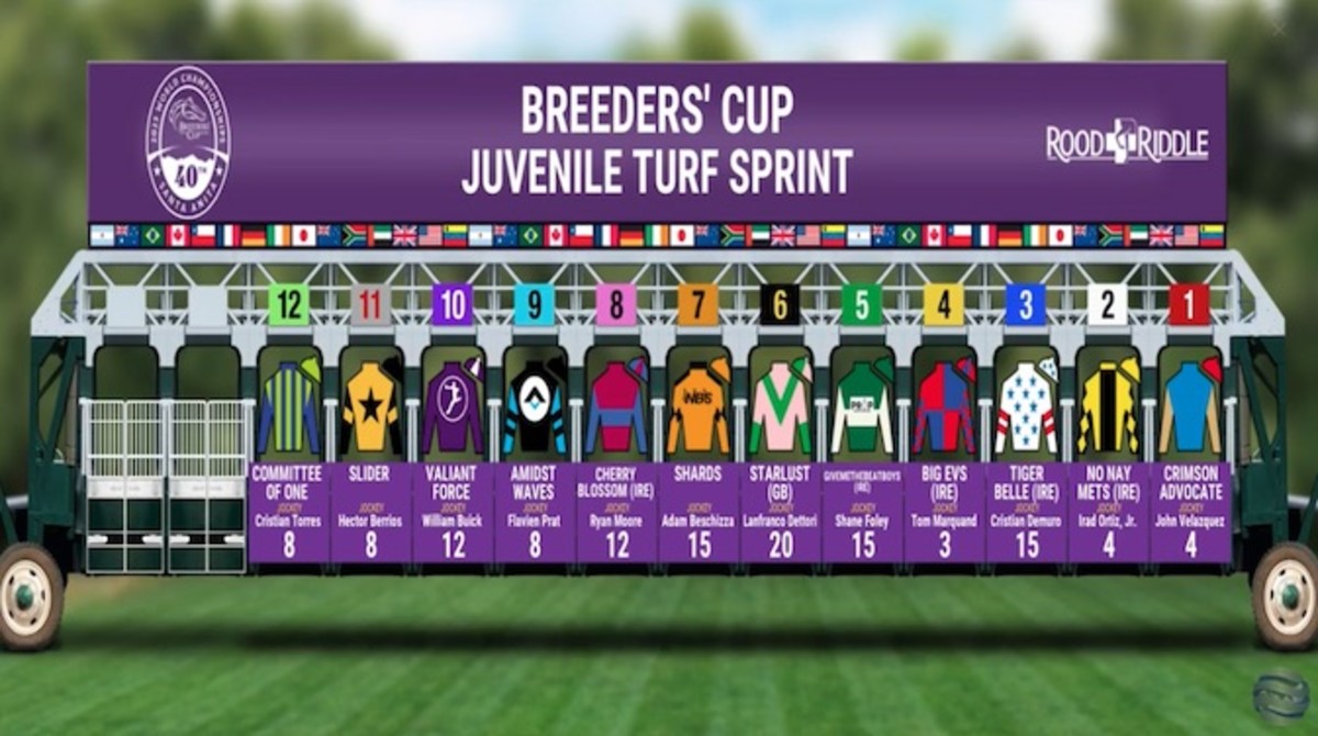 Breeders' Cup Post Positions Classic Favorite Arabian Knight Draws 12