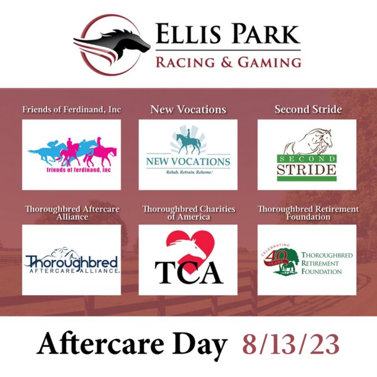 Ellis Park Thoroughbred Aftercare Day Set For Sunday Paulick Report Latest news and