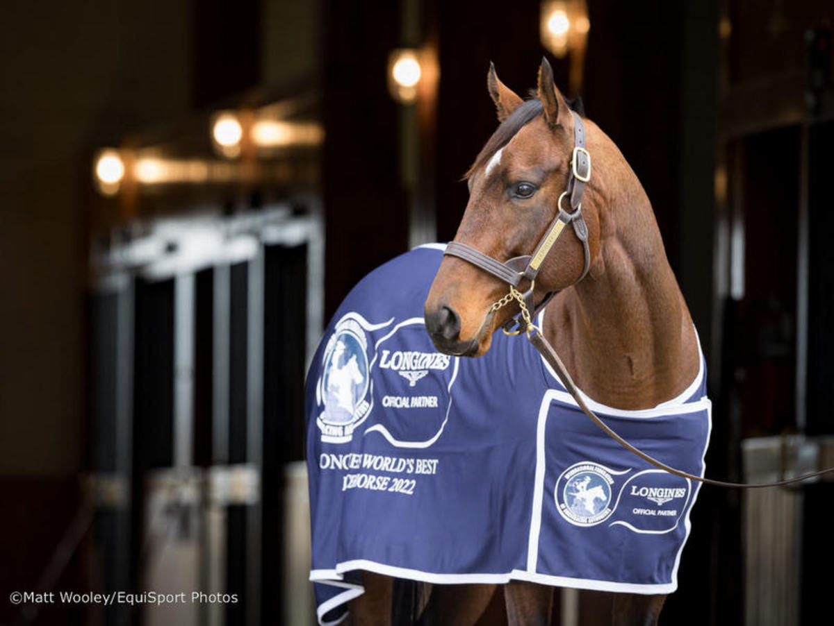 Flightline Honored As Longines World s Best Racehorse Baaeed Top