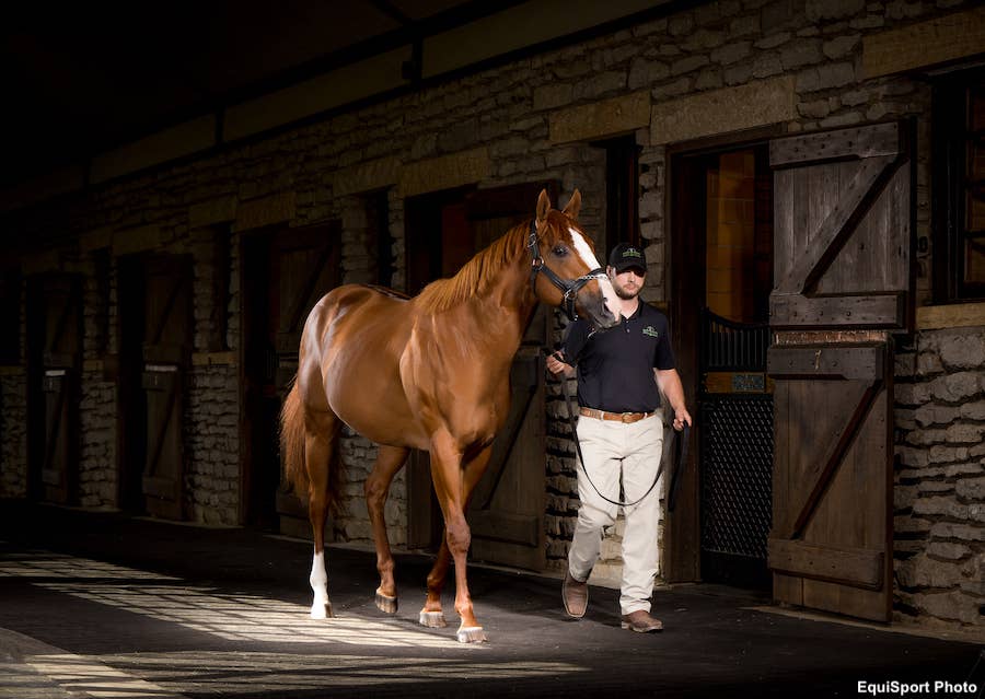 Pinhook Power Rankings: Good Magic Sets The Pace After Yearling Season ...
