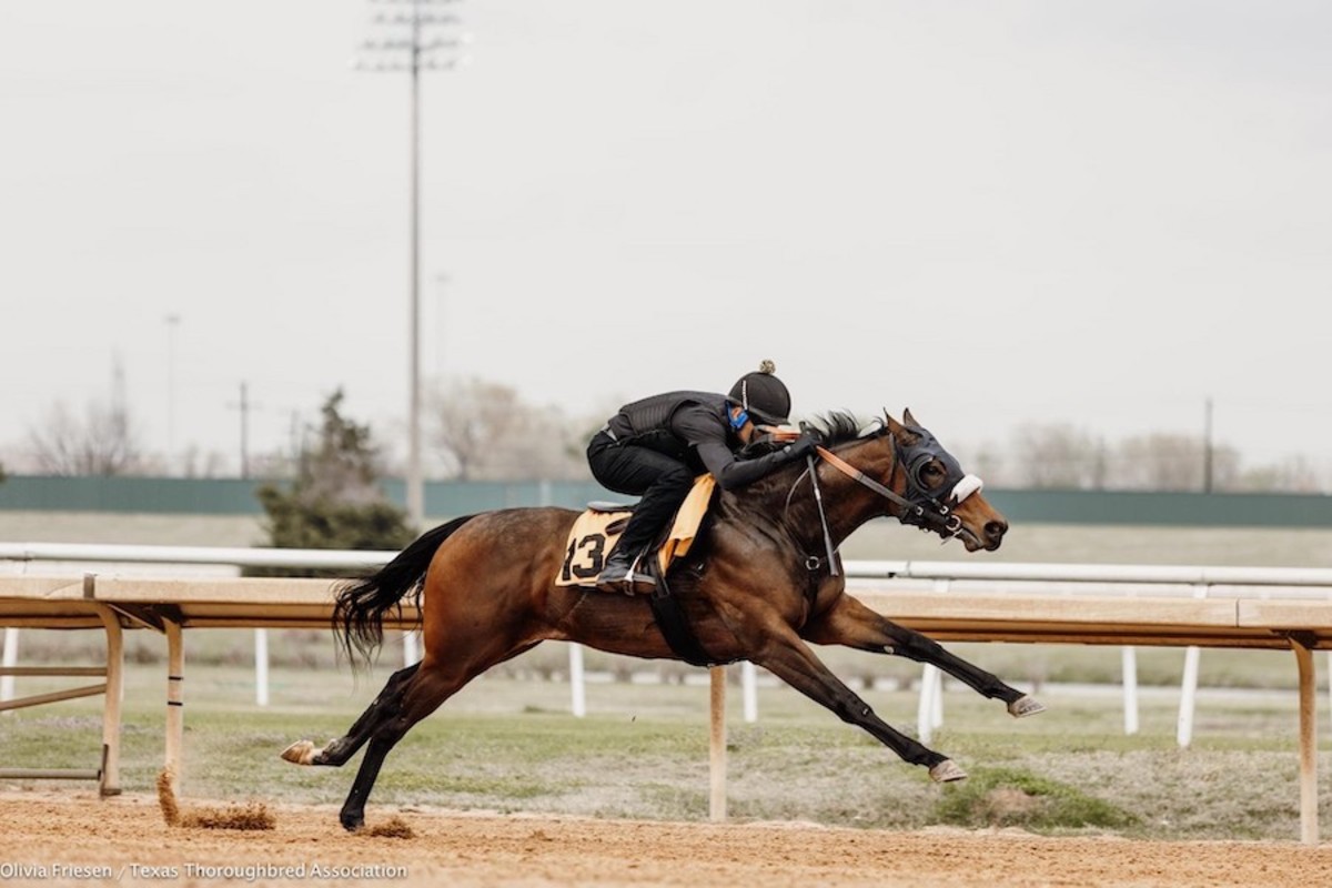 RecordSetting Catalog Released For 2023 Texas 2YearOlds In Training