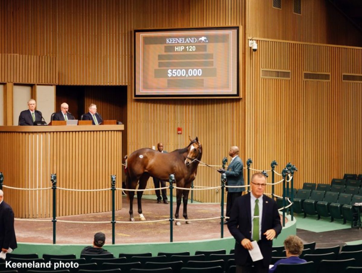 Commissioner Dan Tops Keeneland April Sale At 500,000 Paulick Report