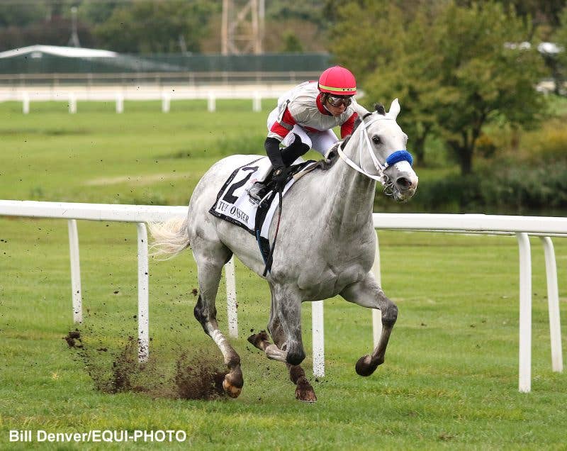 Report: Parx Racing To Install New Turf Course In Spring 2026 - Paulick ...