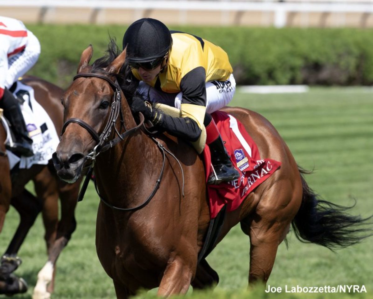 McKulick Tries To Turn Tables On Parnac In Fasig-Tipton Waya - Paulick ...