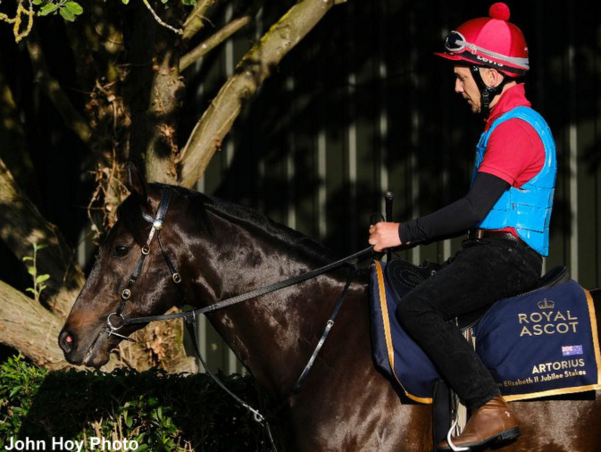 Royal Ascot: Favored Australian Raider Artorius Has Improved Gate Speed ...