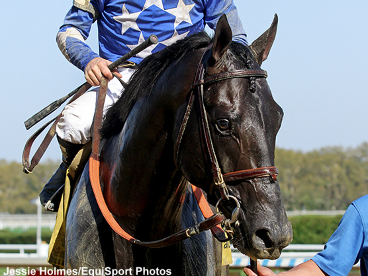 Slow Down Andy, Zandon Join Top 10 In Breeders' Cup Classic Rankings