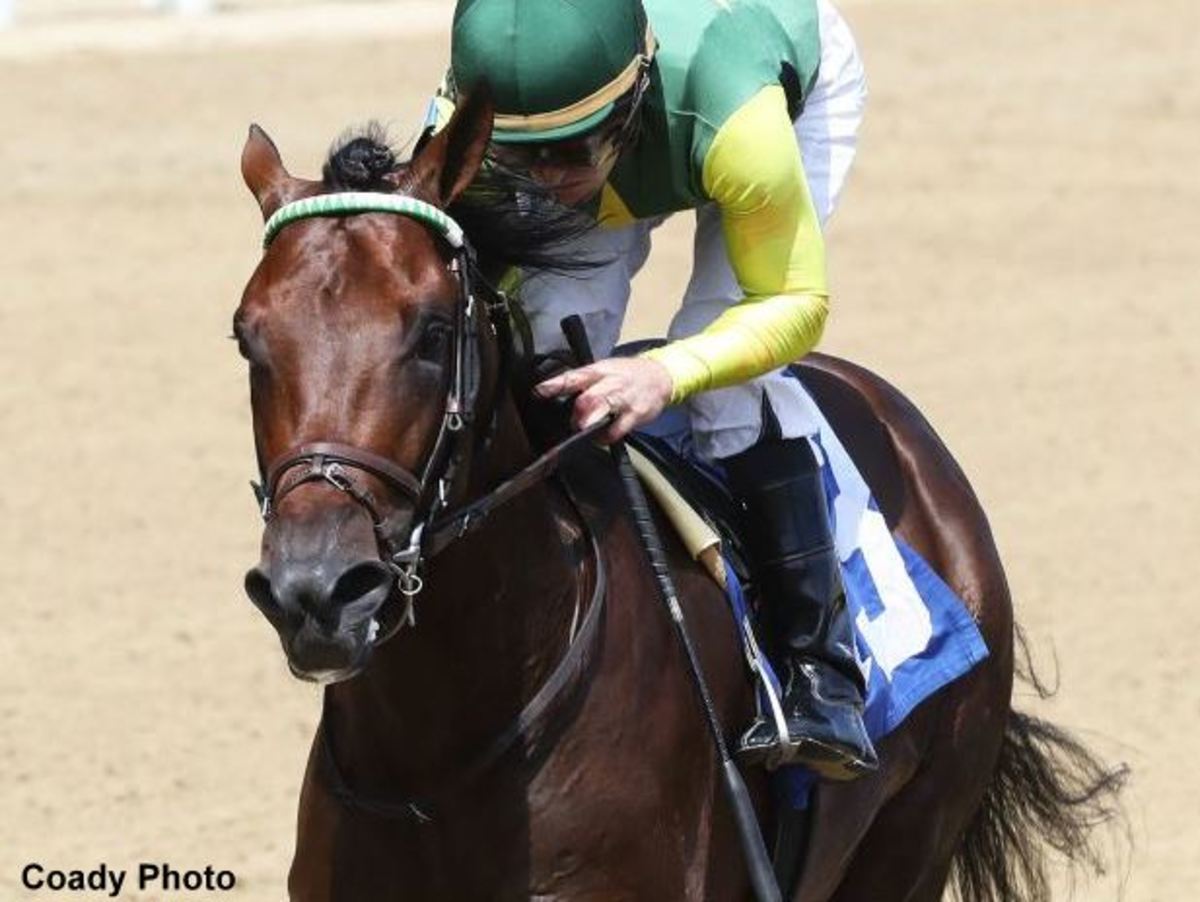 Equibase Analysis Improving Pattern, JockeyTrainer Combo Give