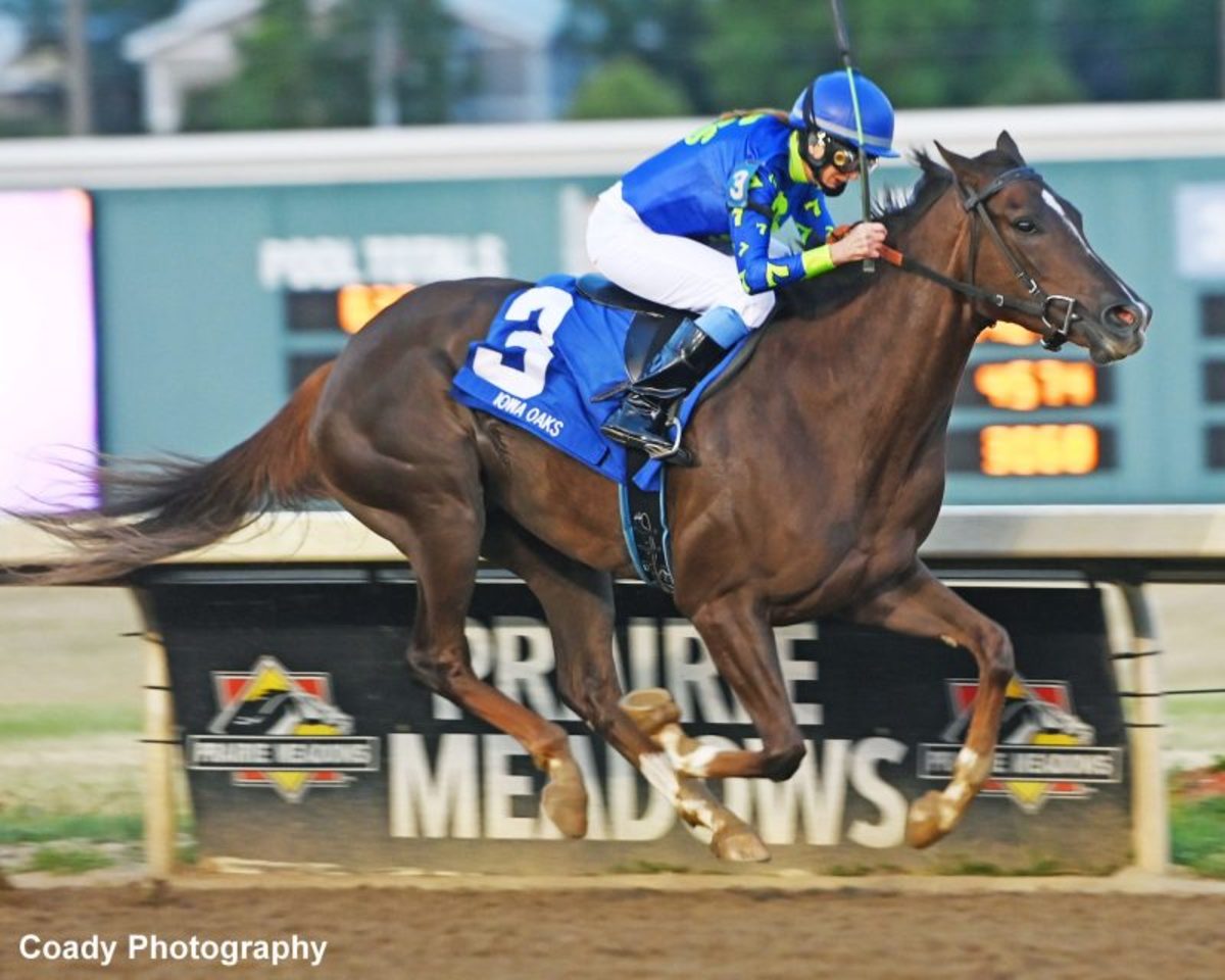 Iowa Oaks Winner Crypto Mo Added To Fasig-Tipton July Selected Horses of  Racing Age Sale - Paulick Report | Latest news and commentary from the  horse racing and equine world