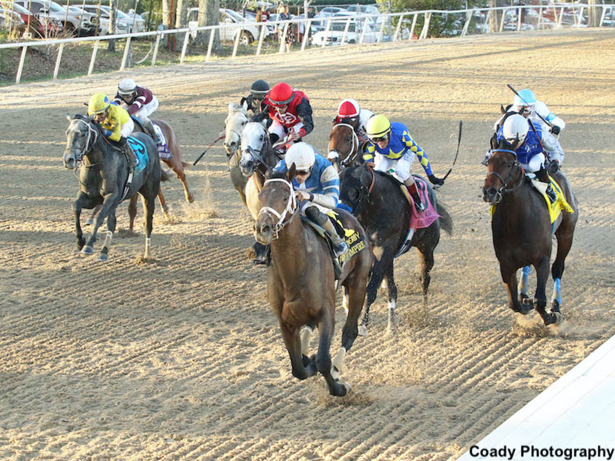 From Modest Beginnings, Angel Of Empire Taking Albaugh Family Stables