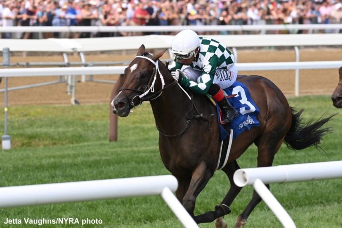 Cogburn Keeps Turf Record Perfect With Troy Victory, Halts Caravel's