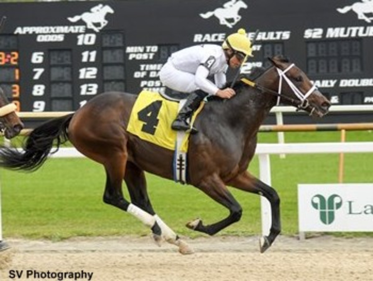 Equibase Analysis Longshot Prairie Hawk Poised For Big Effort In Tampa