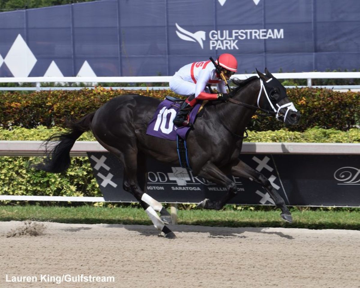Trainer D’Angelo's Undefeated Duo To Seek Second Florida Sire Stakes