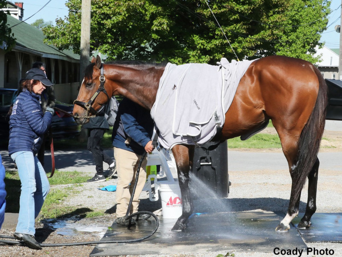 Scratched From Kentucky Derby With Fever, Skinner Returns In Sunday's