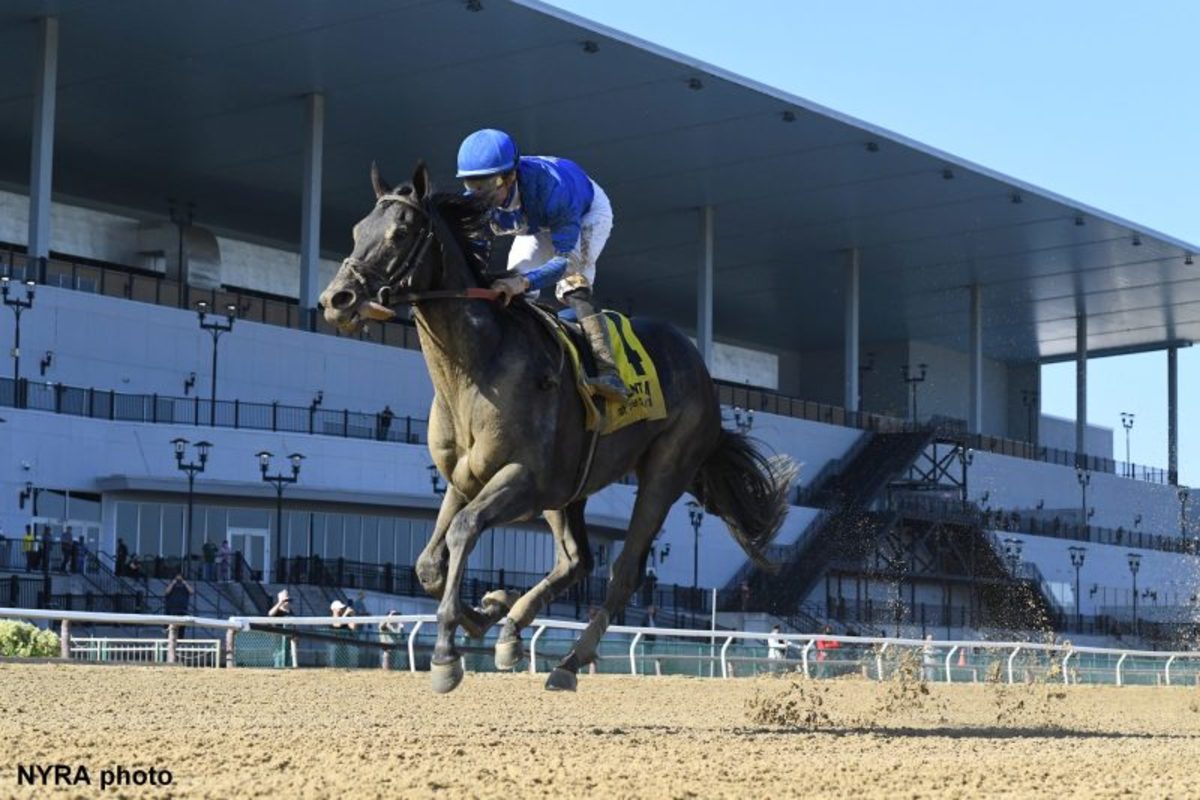 'Always Showed A Lot Of Heart' Zandon Back To Winning Ways In Woodward