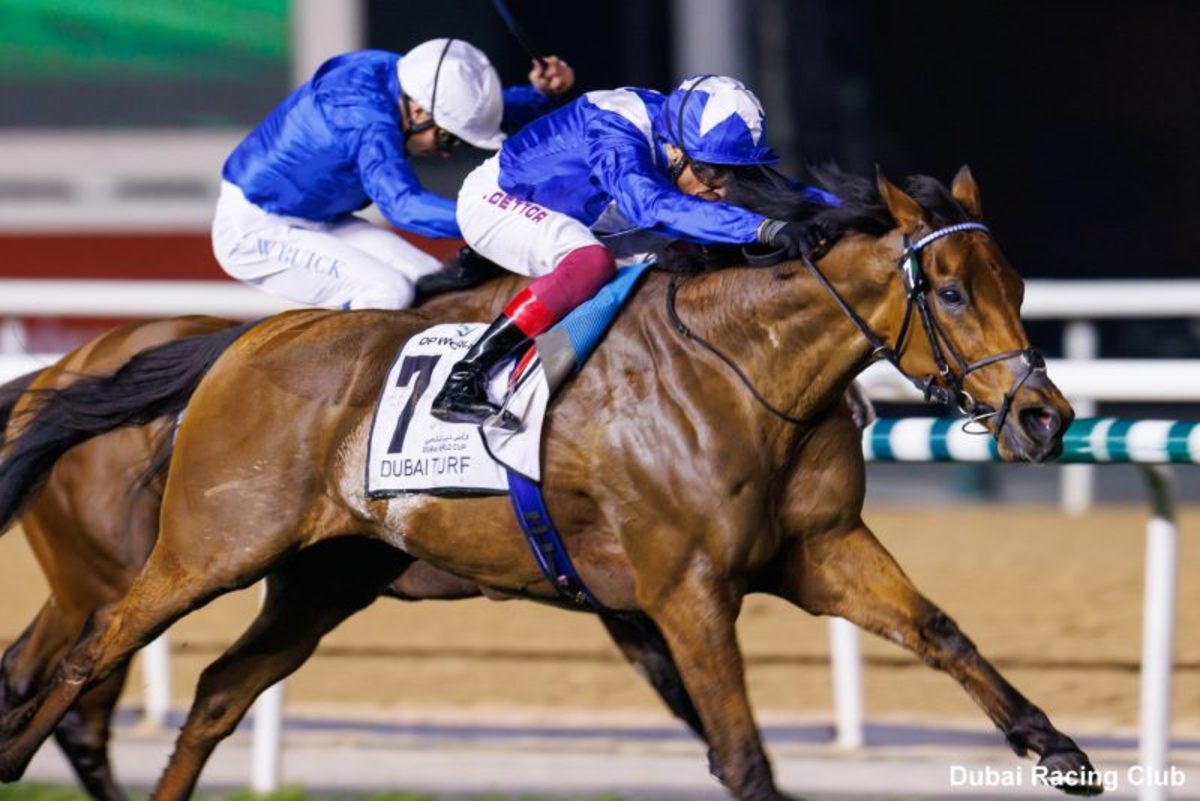 Lord North Scores Historic Dubai Turf Threepeat - Paulick Report | Shining Light on the Horse Industry