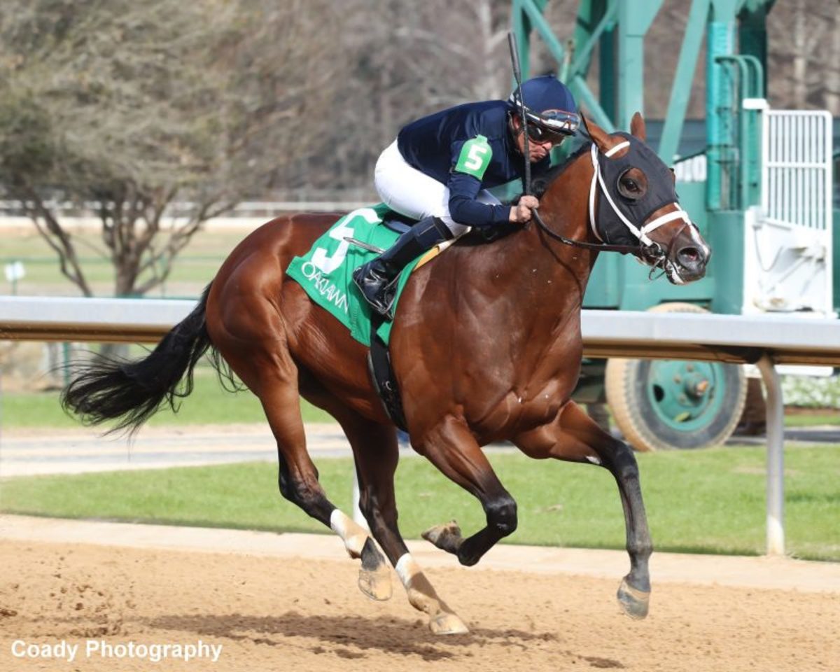 Justify colt Verifying, ridden by Martin Garcia, captures an Oaklawn allowance in 2023 debut