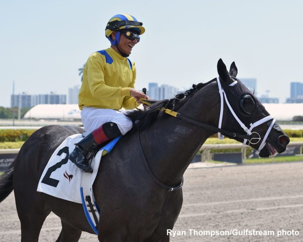 Sunday At Gulfstream ‘Something Special’ For Joseph's Lead Exercise ...