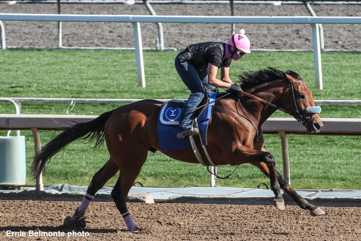 Practical Move Draws Eight Rivals In Santa Anita Derby Paulick Report