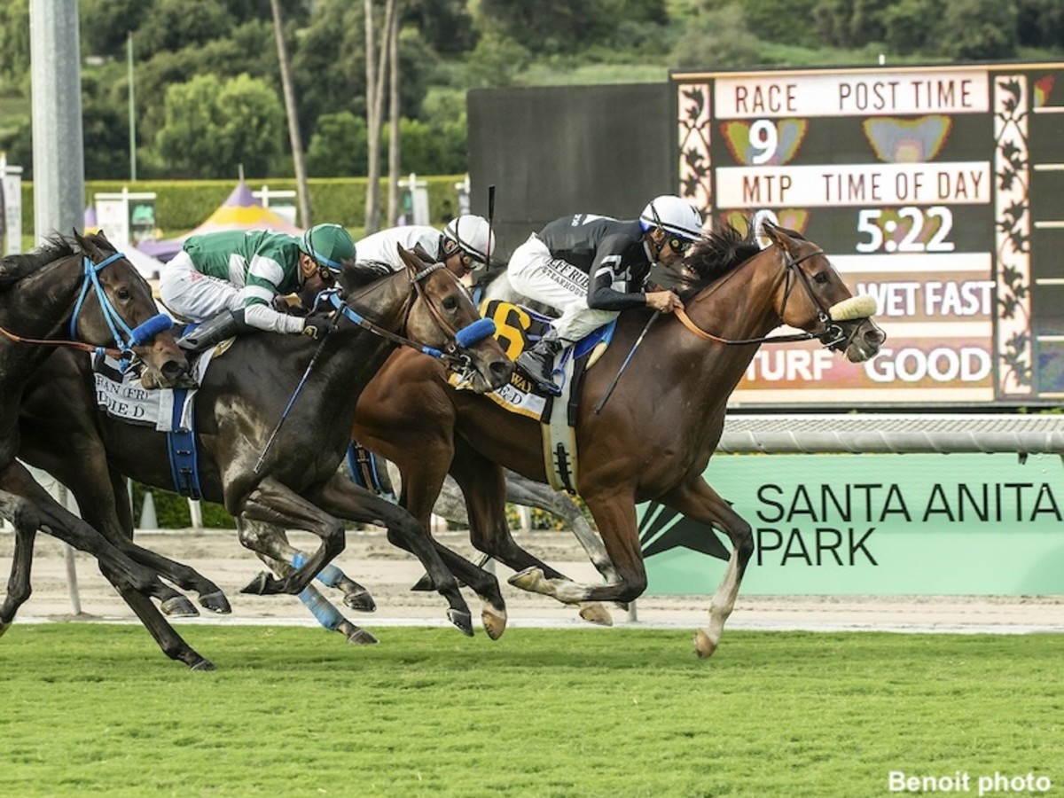 Lane Way Takes Eddie D Stakes For Hall Of Famers Mandella, Smith