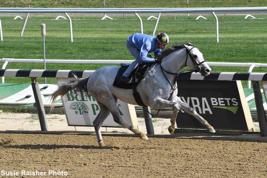 'Couldn't Be Happier With Him' White Abarrio Works For Dutrow Ahead Of