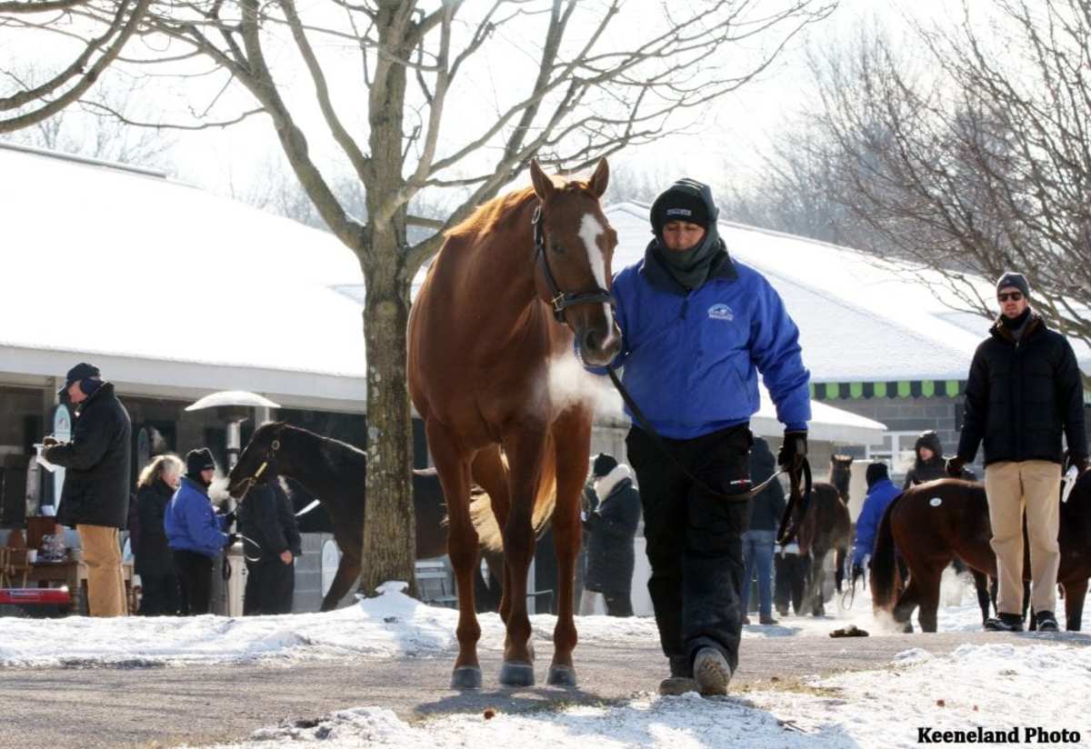 Four Final Supplemental Entries Announced For 2023 Keeneland January ...